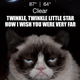 Illustration for article titled The Grumpy Cat Weather App Wont Sugar Coat Things For You